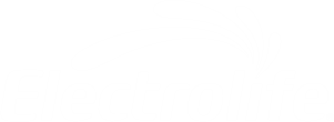 electrolife